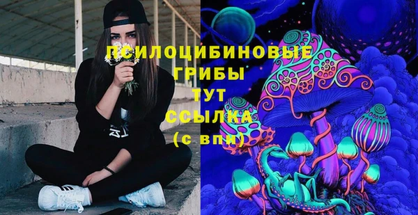 стаф Верхний Тагил