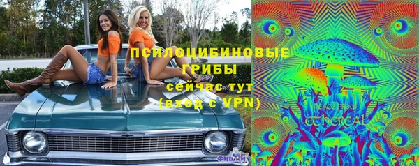 стаф Верхний Тагил